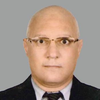 Mr. Ayman El-Sayed Garada