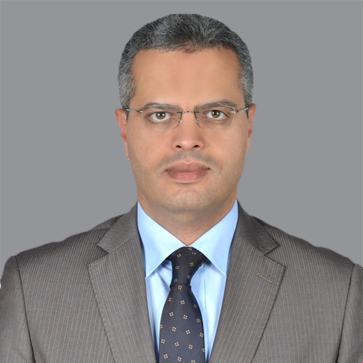 Mr. Mohamed Fawzy Abou El-Azm